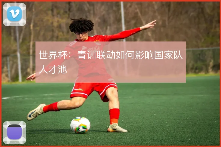 世界杯：青训联动如何影响国家队人才池