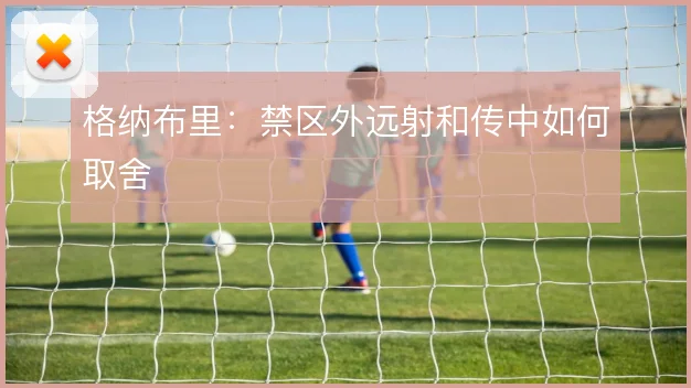 格纳布里：禁区外远射和传中如何取舍