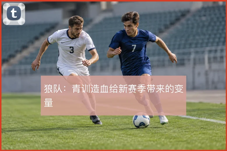 狼队：青训造血给新赛季带来的变量