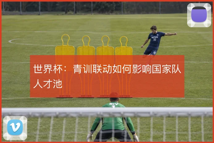 世界杯:青训联动如何影响国家队人才池